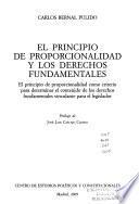 El principio de proporcionalidad y los derechos fundamentales