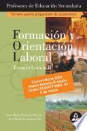Formacion Y Orientacion Laboral. Profesores de Enseñanza Secundaria. Temario B Para la Preparacion de Oposiciones.e-book.