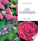 Las hortensias - Cultivo y cuidados