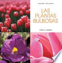 Las plantas bulbosas - Cultivo y cuidados