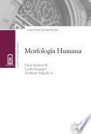 Morfología humana