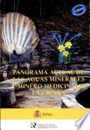 Panorama actual de las aguas minerales y minero-medicinales en Espań̃a