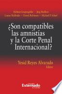 ¿Son compatibles las amnistías y la Corte Penal Internacional?