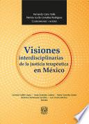 Visiones interdisciplinarias de la justicia terapéutica en México